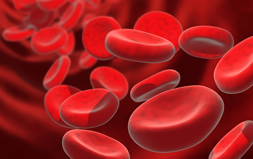 Complex Hematology / High Risk Pregnancies One of the few practices specializing in Complex Hematology for High Risk Pregnant Patients of NJ