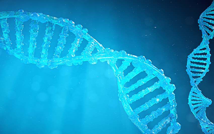 Genetic Counseling & Testing Advanced Care offers an array of gentic tests for more efficient chemotherapy